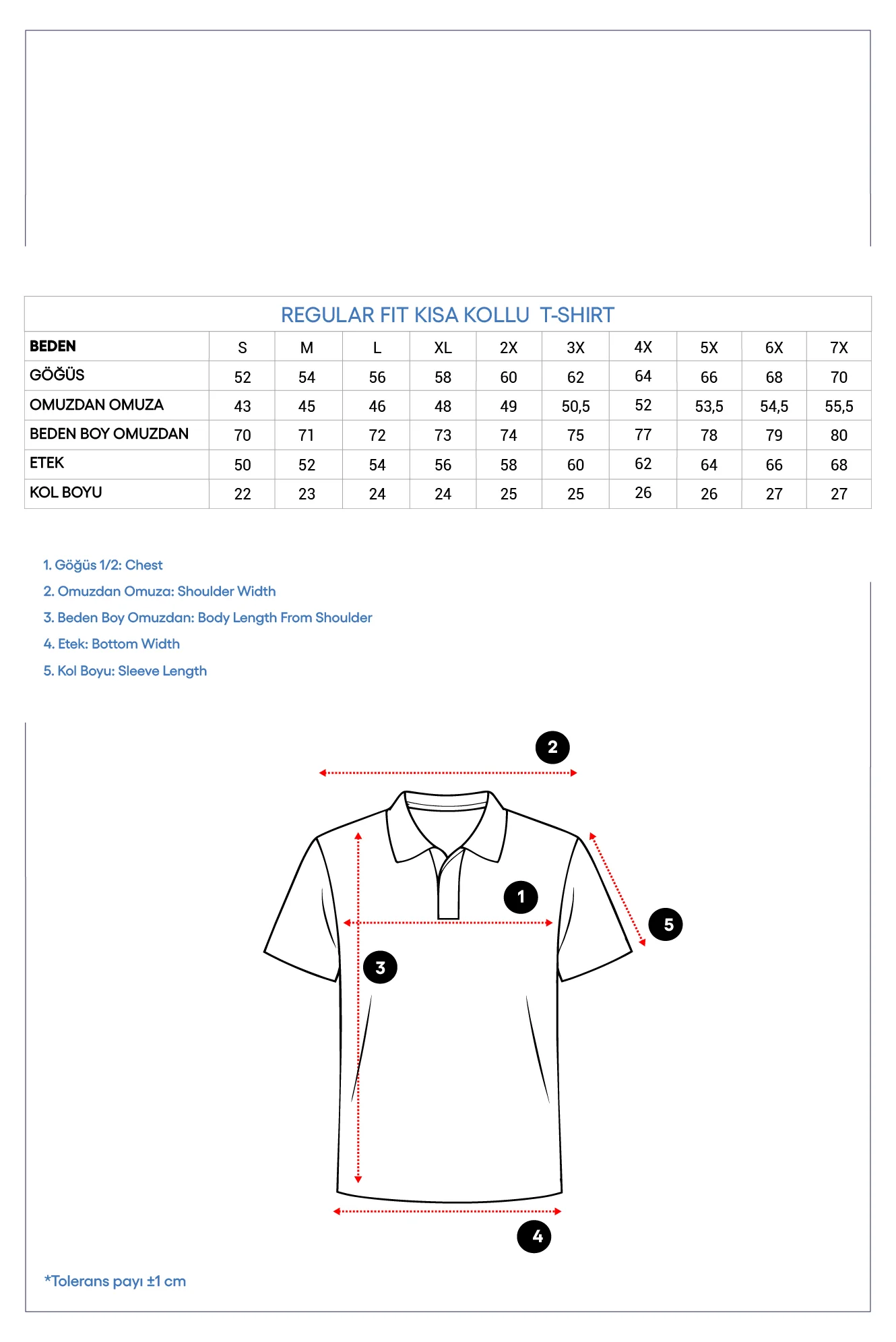 Gri - Bordo Düğmeli Polo Yaka Regular Fit Pamuklu Düz 2'li Paket Tişört Seti - Image 8