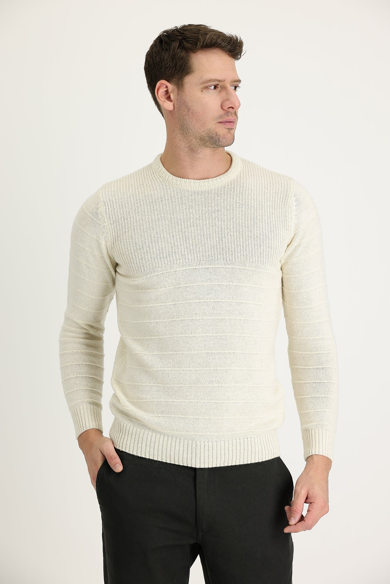 Ekru Bisiklet Yaka Slim Fit Dar Kesim Desenli Triko Kazak - Image 2