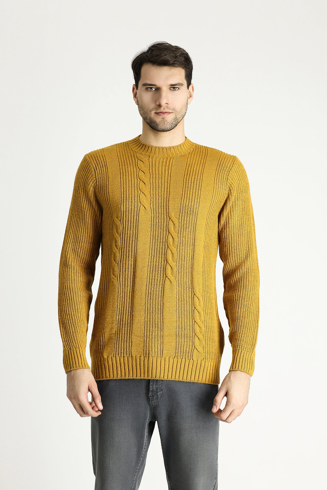 Hardal Bisiklet Yaka Slim Fit Desenli Triko Kazak - Image 4