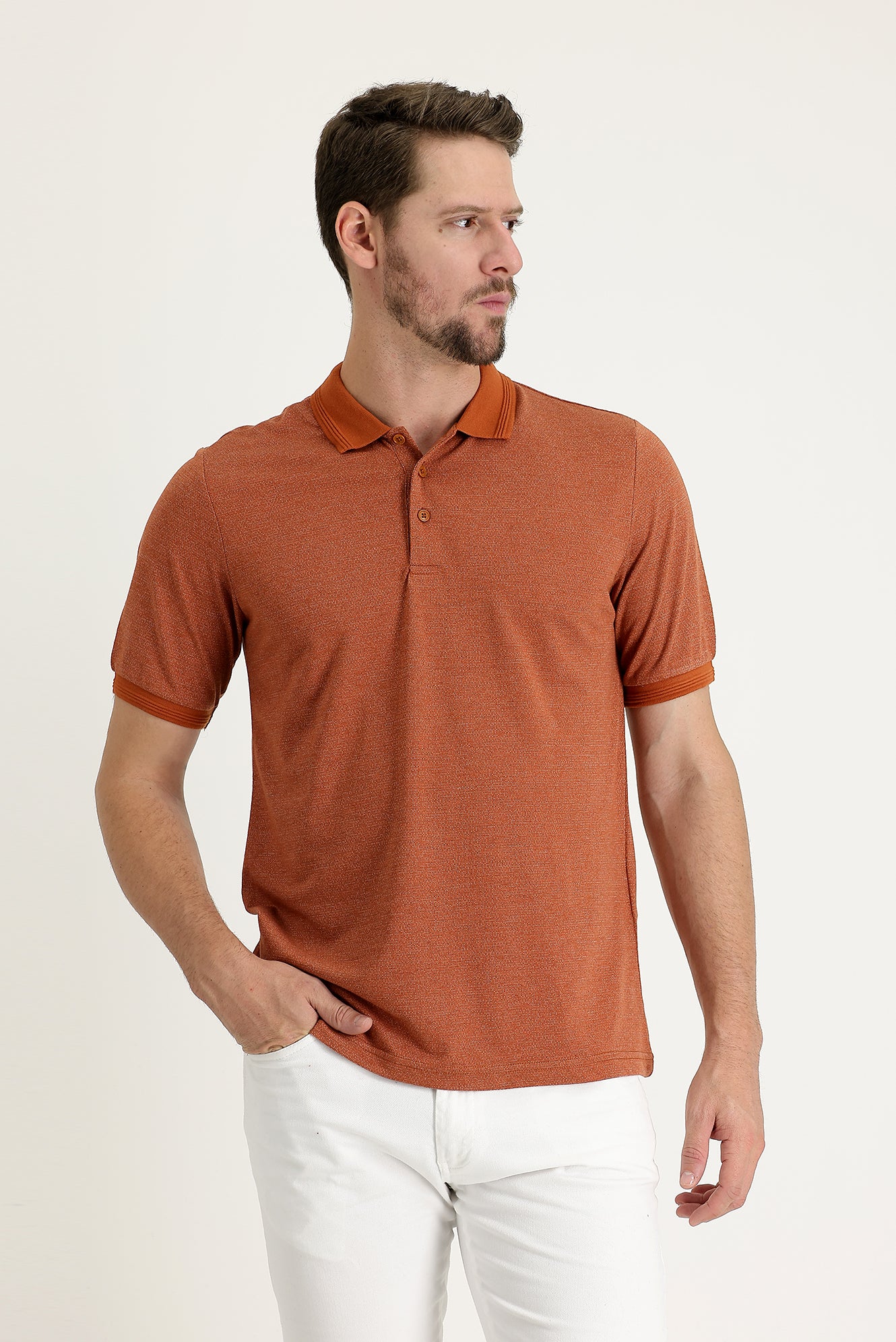 Kiremit Polo Yaka Regular Fit Desenli Tişört - Image 2