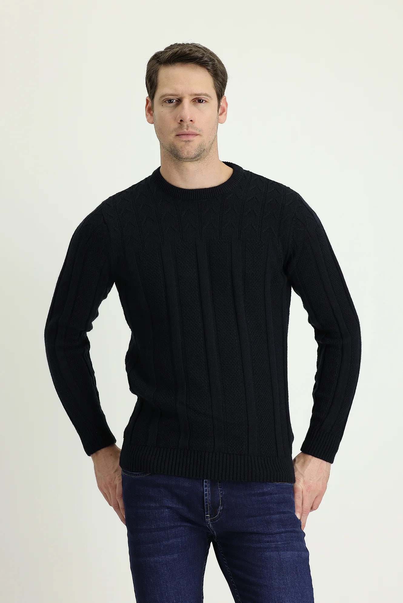 Koyu Lacivert Bisiklet Yaka Regular Fit Desenli Triko Kazak - Image 3