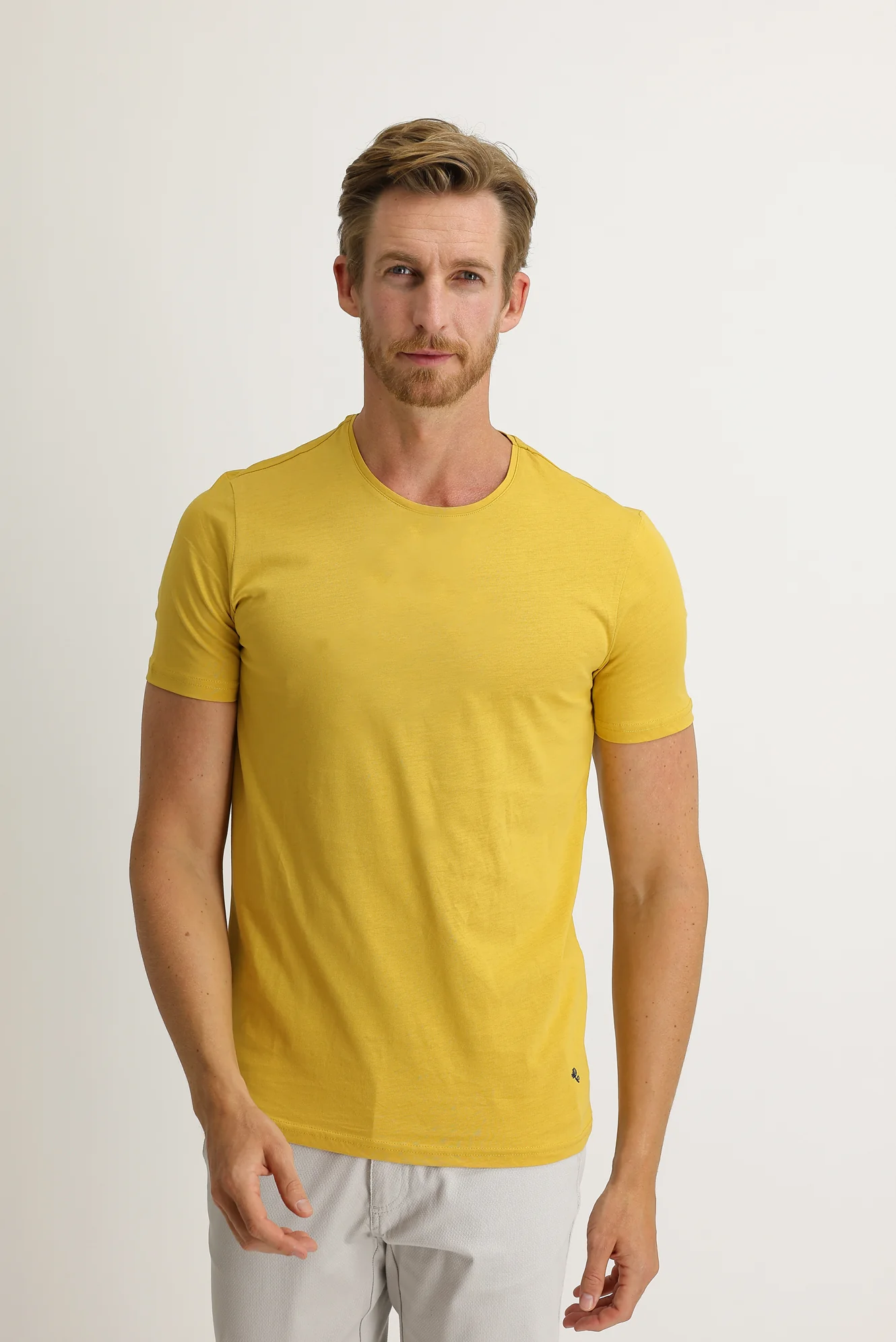 Safran Bisiklet Yaka Slim Fit Dar Kesim Pamuk Tişört - Image 2