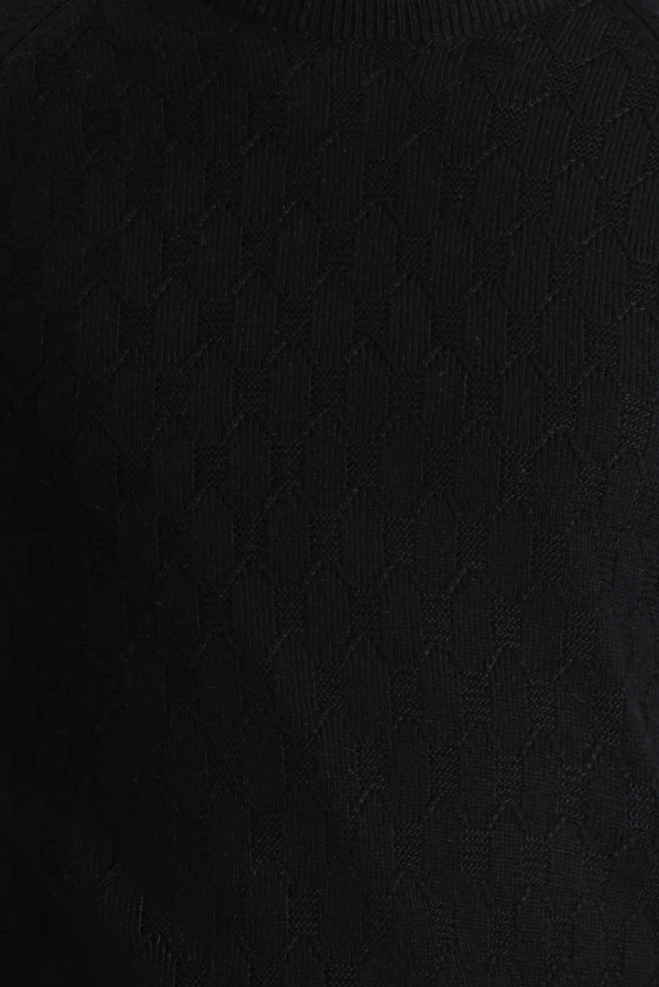 Siyah Bisiklet Yaka Regular Fit Desenli Triko Kazak - Image 6