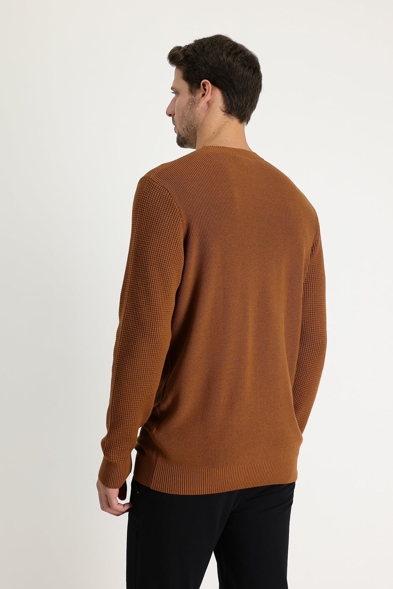 Tarçın Bisiklet Yaka Slim Fit Dar Kesim Desenli Pamuklu Triko Kazak - Image 3