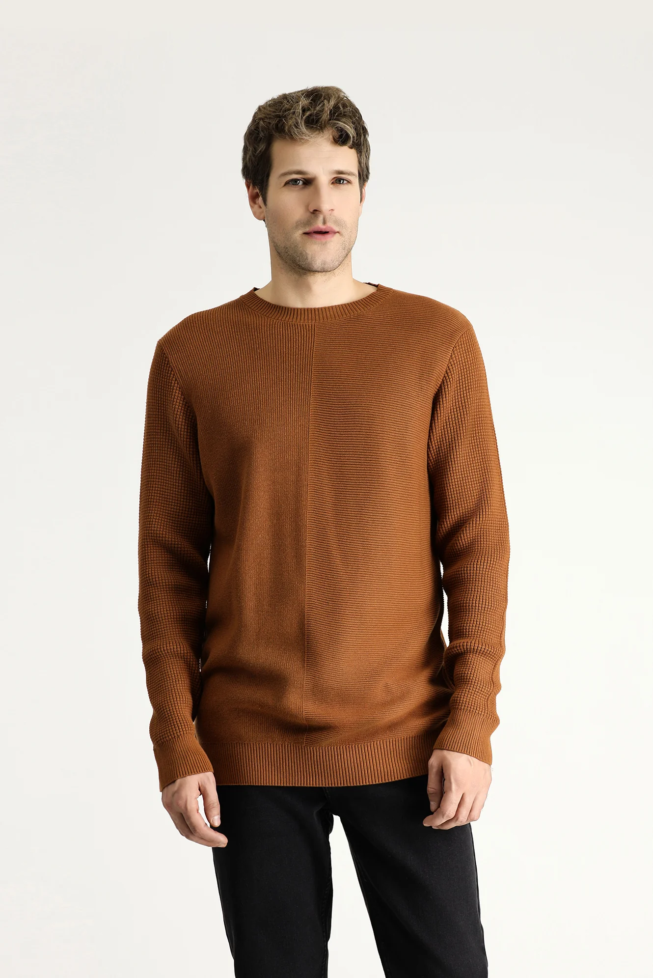 Tarçın Bisiklet Yaka Slim Fit Dar Kesim Desenli Pamuklu Triko Kazak - Image 3