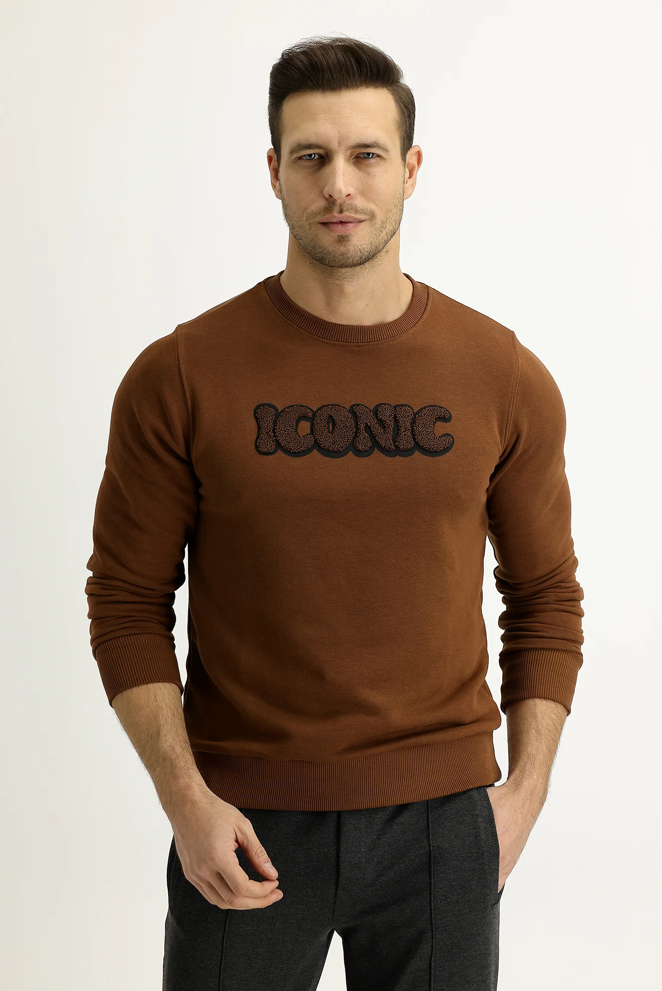 Tarçın Bisiklet Yaka Slim Fit Dar Kesim Sweatshirt