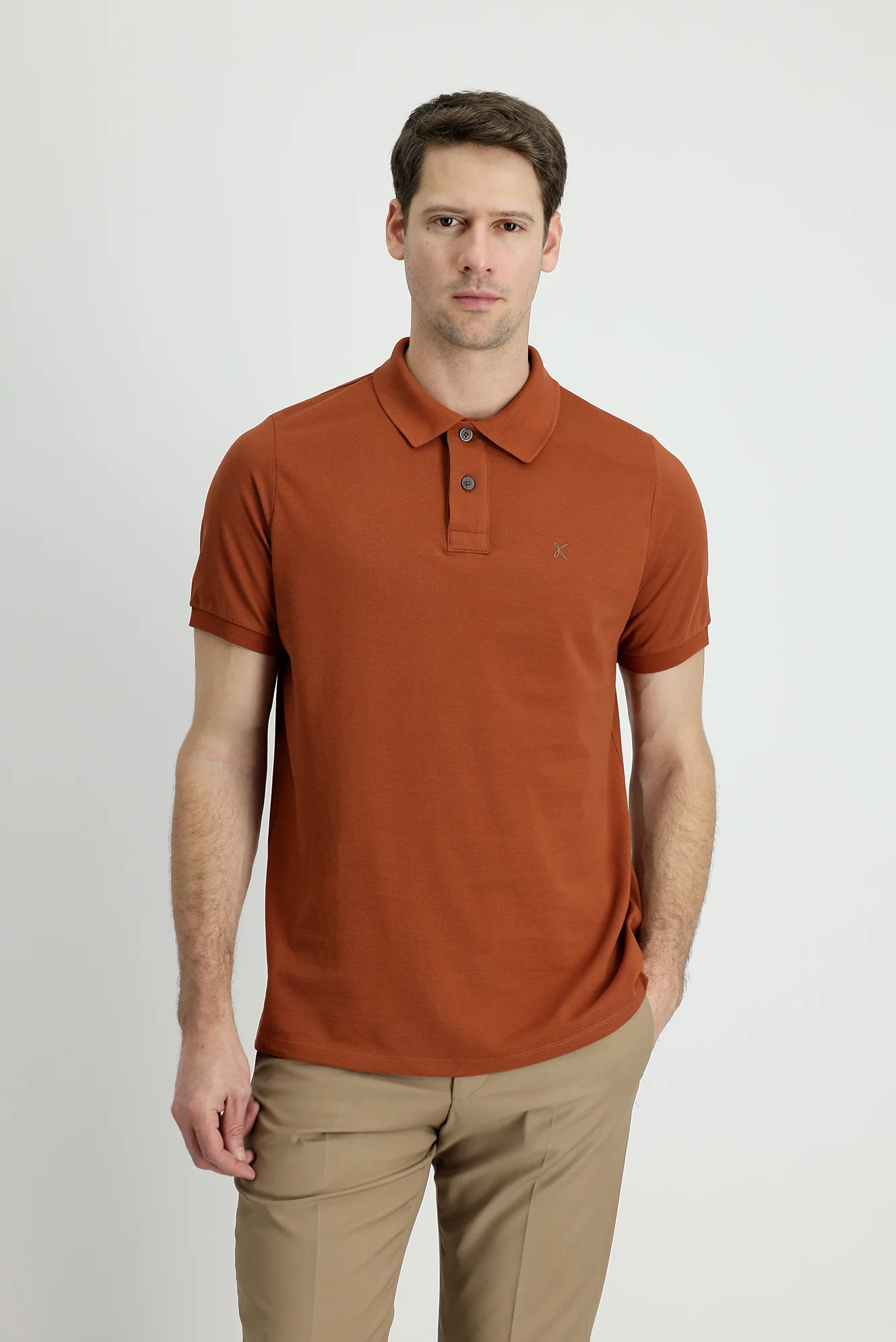 Tarçın Polo Yaka Regular Fit Nakışlı Pamuk Tişört - Image 2
