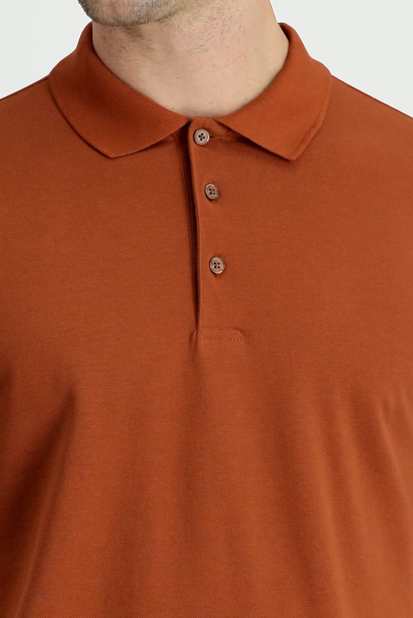 Tarçın Polo Yaka Regular Fit Nakışlı Pamuk Tişört - Image 3