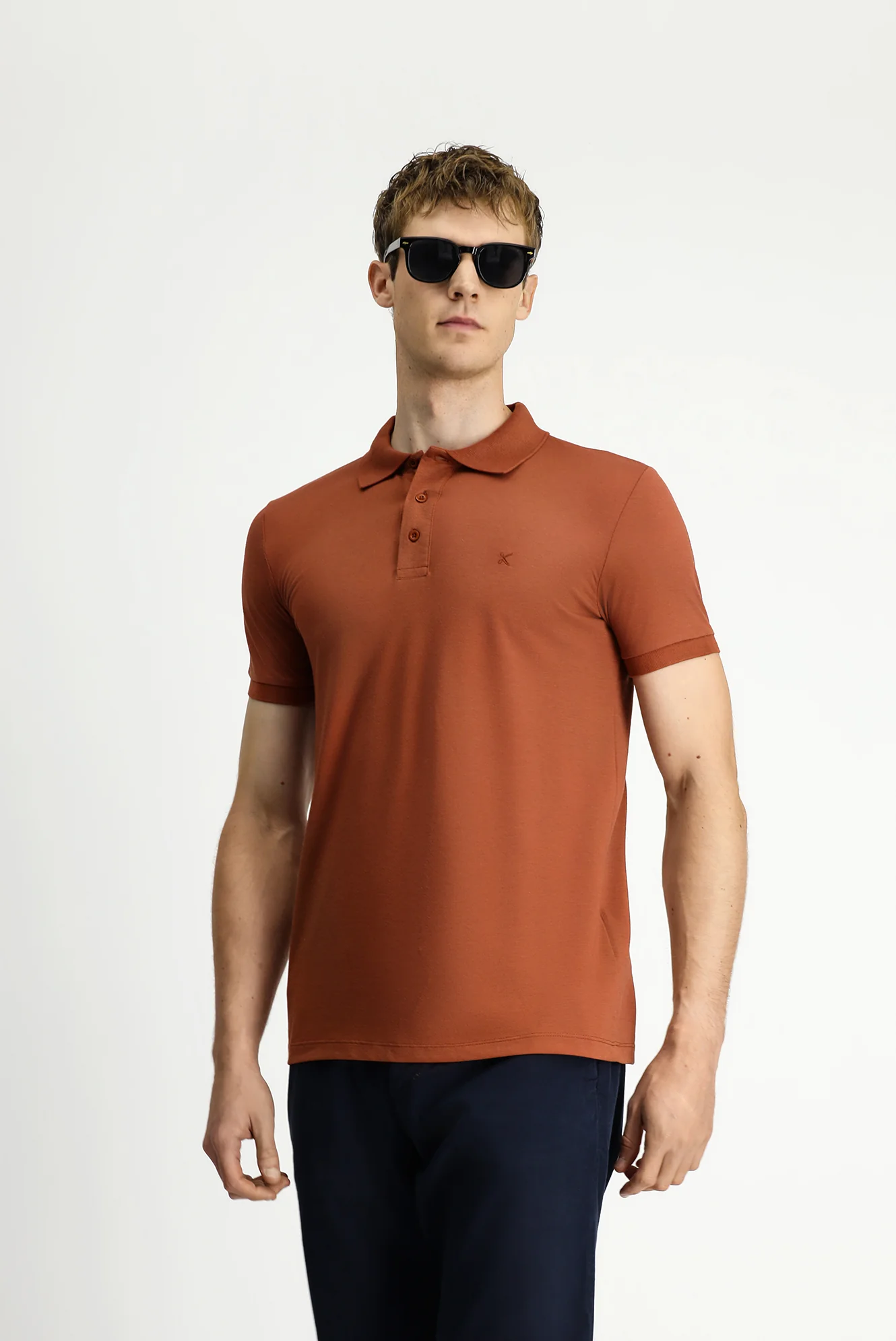 Tarçın  Slim Fit Dar Kesim Nakışlı Pamuklu Polo Yaka Tişört - Image 4