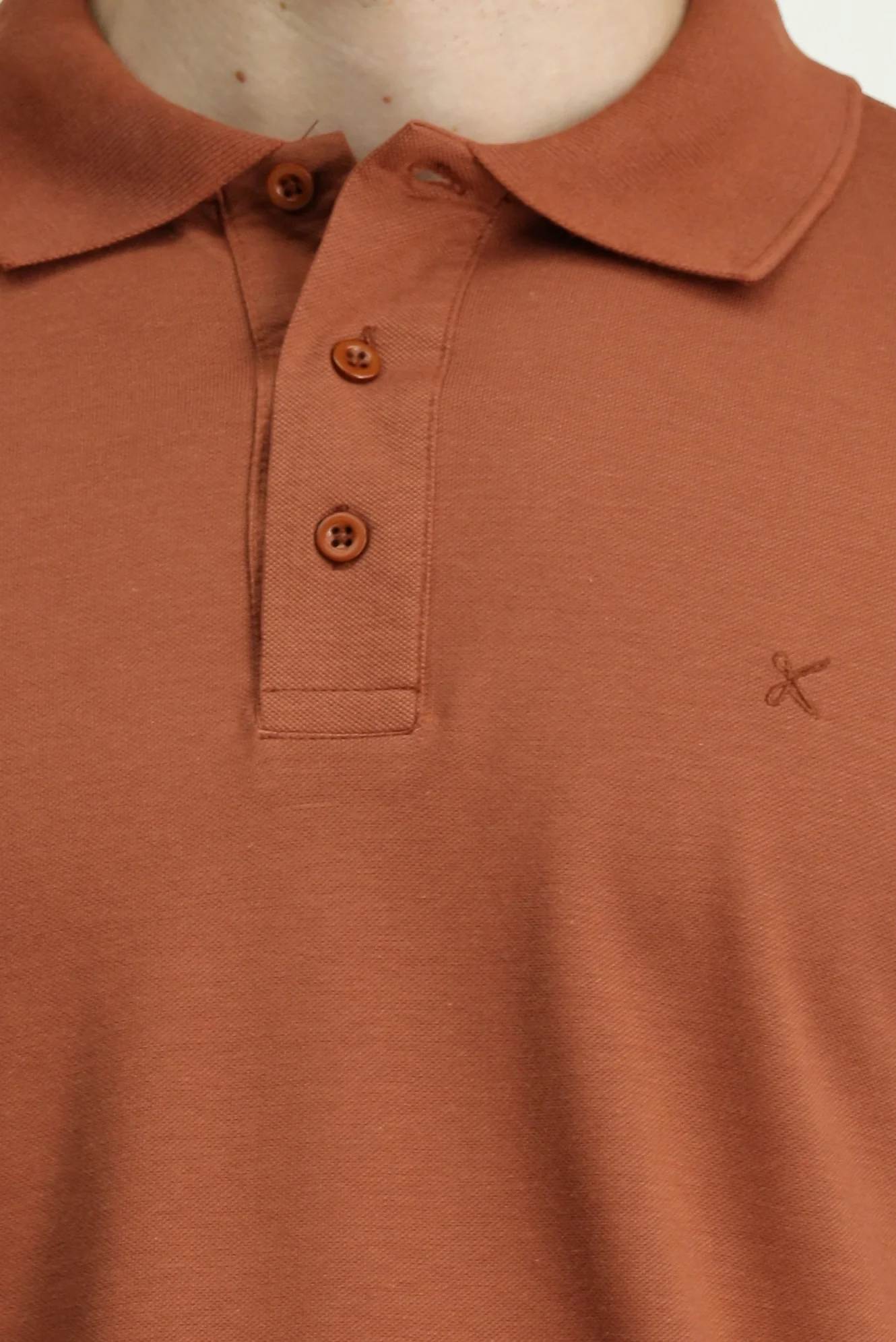 Tarçın  Slim Fit Dar Kesim Nakışlı Pamuklu Polo Yaka Tişört - Image 6