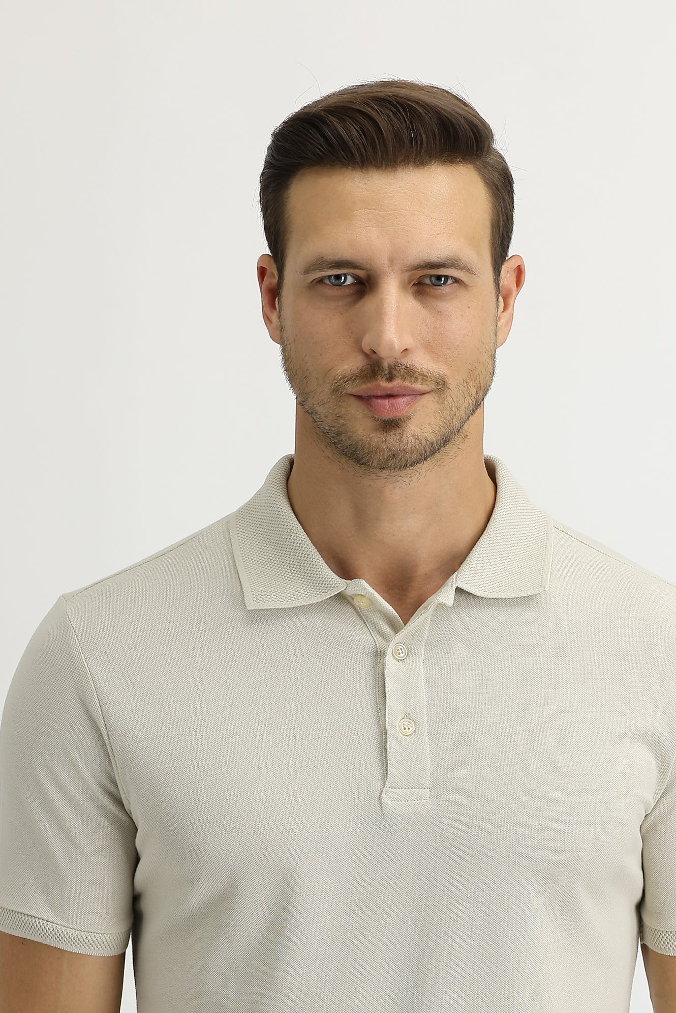 Taş Polo Yaka Slim Fit Dar Kesim Nakışlı Pamuk Tişört