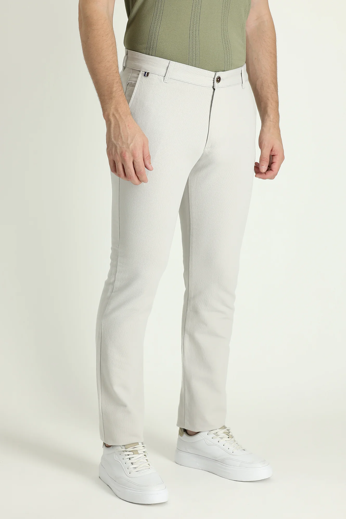 Taş Regular Fit Standart Kesim Pamuk Kanvas / Chino Pantolon - Image 2